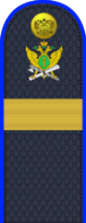 05.погон ФССП - старший сержант.png