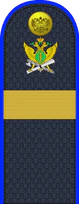 05.погон ФССП - старший сержант.png