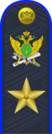 19.погон ФССП - генерал.png