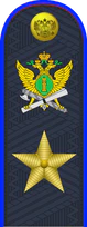 19.погон ФССП - генерал.png