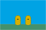 Флаг