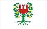 Флаг