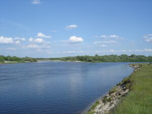 Mouth of Tsna river.jpg