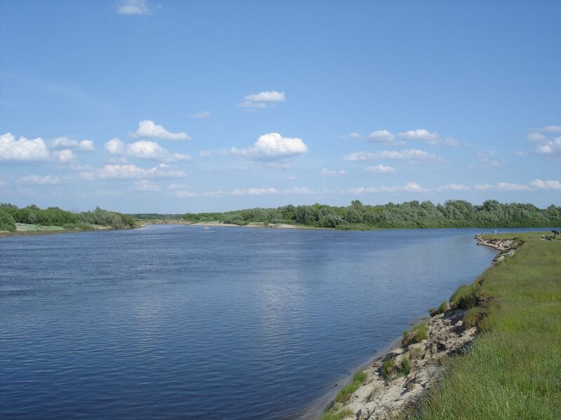 Mouth of Tsna river.jpg