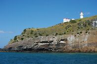 NZL-otago-peninsula-tairoa-head.jpg