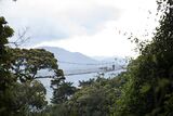 Nyungwe Canopy Walk.jpg