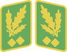 ORPO General der Polizei collar tabs 42-45.svg