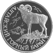 RR5109-0046R Алтайский горный баран.gif