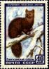 The Soviet Union 1957 CPA 1993 stamp (Sable) (Double print of black).jpg