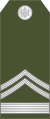 09-Montenegro Army-CWO.svg