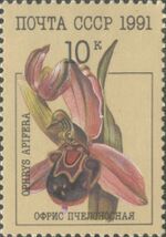 1991 CPA 6317.jpg