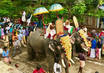 1st day Onam procession elephants in Kerala.jpg
