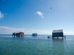 Banco Chinchorro.jpg