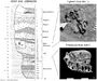 Ksar Akil Fossils.jpg
