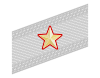 Rank insignia of colonnello con funzioni superiori of the Alpini.svg