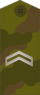 Rus jun-serjant field.png