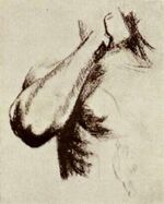 Sketch of a Right Arm and Shoulder f 1693j jh 1006.jpg