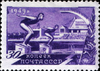 The Soviet Union 1949 CPA 1412 stamp (National Sports. Swimming).png
