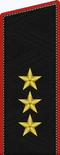 Генерал-полковник ВМФ (красный кант).png