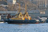 РБ-403 в Золотом Роге 2015.02.05.JPG