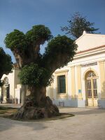 Cherchell museum and a Belombra.jpg