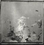 Giotto (attr.), resurrezione.jpg