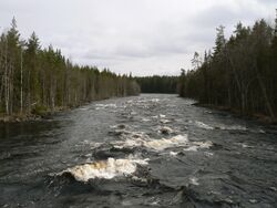 Lieksanjoki-Haapavitja.jpg