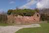 Remains of Holt Castle - geograph.org.uk - 352189.jpg