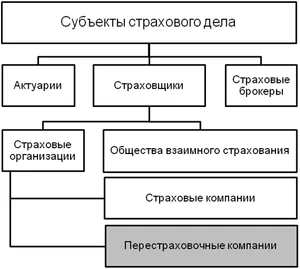 Иерархическая схема "Субъекты страхового бизнеса"
