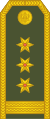 15-Montenegro Army-COL.svg