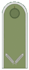 Belarus BKA 1944 everyday - Ściažny.gif
