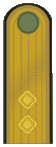 Belarus BKA 1944 parade - Padpalkoŭnik.gif