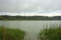 Bolshoe Vassilievskoe lake 01.JPG