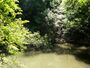 Devil's Millhopper - 10.jpg