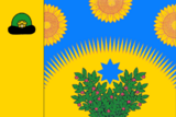 Флаг