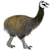 Mullerornis modestus (remaster).png