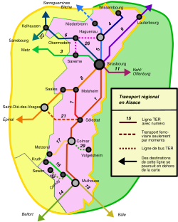 TER Elsass français.svg
