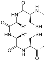 Thioredoxin, reduziert.svg