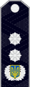 Ukrainian police shoulder mark 13.svg