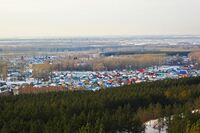 View of the village Kusyapkulovo.jpg