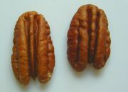 2 pecan nut halves.jpg