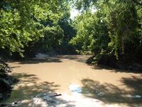 Buffalo Bayou.jpg