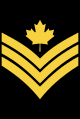 CDN-Navy-PO2.svg