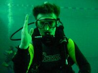 Diving signal 200.jpg
