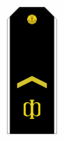 RAF N R2SSM 2010par.png