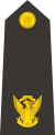 Lieutenant commander
