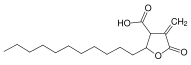 Tetrahydro-4-methylene-5-oxo-2-undecyl-3-furancarboxylic acid.svg