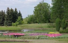 Łódzki Ogród Botaniczny.jpg