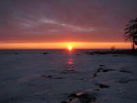 Побережье Финского залива Тарховская коса.jpg