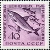 1960 CPA 2469.jpg